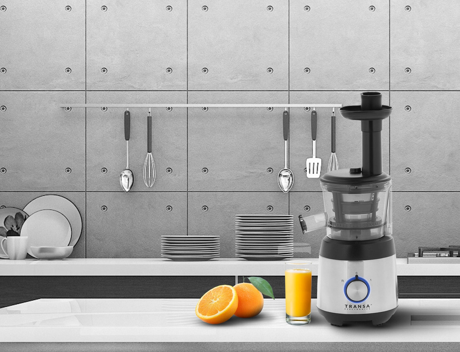 Lėtaeigė sulčiaspaudė Transa Electronics JuiceWell 400 W